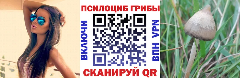 Псилоцибиновые грибы Psilocybe  площадка Telegram  Дудинка  наркотики 