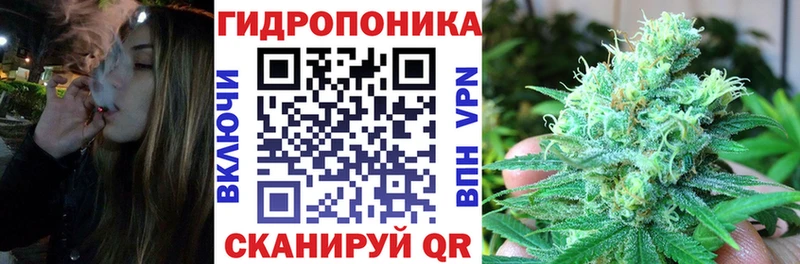 Бошки марихуана планчик  ссылка на мегу ссылка  Дудинка 